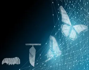 digital-transformation
