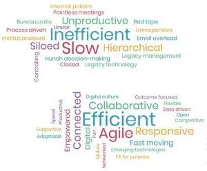 word-cloud