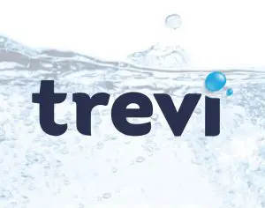 trevi-2