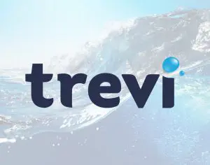 trevi