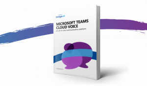 teams-cloud-voice