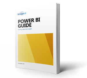 power-bi-guide