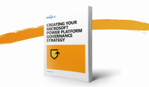 governance guide