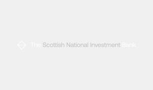 SNIB logo