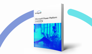 Power-Platform-licensing-guide