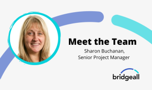 Meet the Team template
