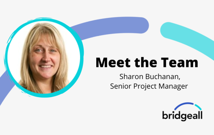 Meet the Team template