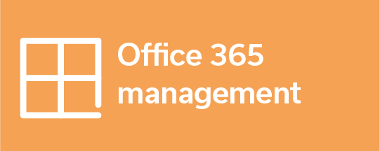 office 365