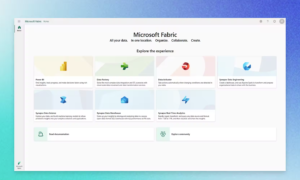 microsoft-fabric