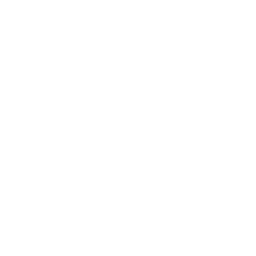 flash (2)