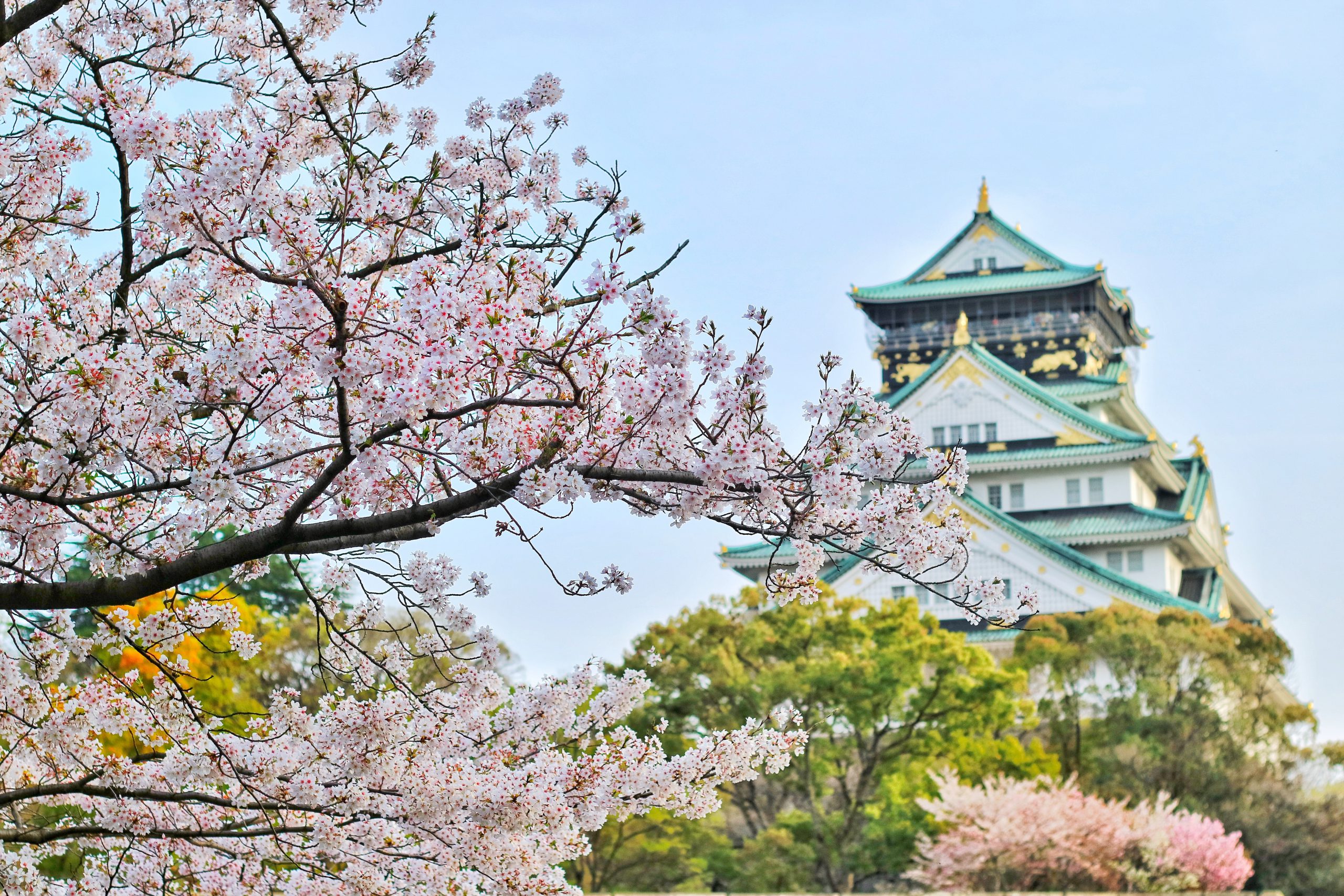japan japan